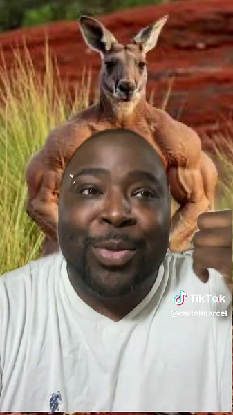 Fastest Land Animals: Comparing Cheetahs and Others