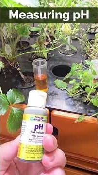 How to Measure and Adjust pH in Hydroponics (Beginner Home Farm Guide)