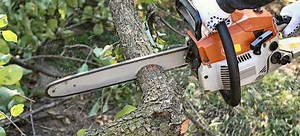 How to Safely Use a Chainsaw | DoItYourself.com
