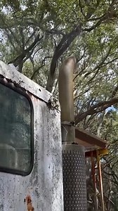 Will This Ancient Peterbilt Semi Truck Start? #peterbilt #semitruck #truck #trucks #trucking | Bruce Wilson