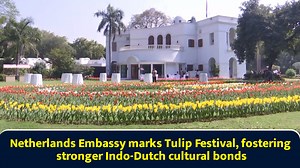 Netherlands Embassy marks Tulip Festival, fostering stronger Indo-Dutch cultural bonds