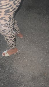 Don’t Talk Shiii Before You Cut Da Check 🤣🤣🤣Never Know Who You Might See At Da Resturant 2026 I’m Finna Smash Da Gas On Dis Food Shit Mr Pop After Pop Bihhhhhhh I Got Dat Smacaroni With Da Crackers My Shiiii The Best In The World 🌎🌎🌎And I Stand On Dat Da SmacMan Is BoC. Gotta Know I Keep Dat Grade A Bihhhh IYKYK 🔥🔥🔥 Y’all Stayed Tuned In Bihhhhhh I’m Da King 👑 Of Pop I Done Turned Duval Into SmacCity & Da Smac House Otw Sooner Than Later 🏚️🏚️🏚️Who Wanna Get Smacked 👋🏾👋🏾👋🏾🟢🟢�