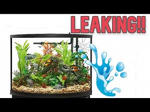 IT LEAKED!!! Topfin 36g Bowfront Longterm Review