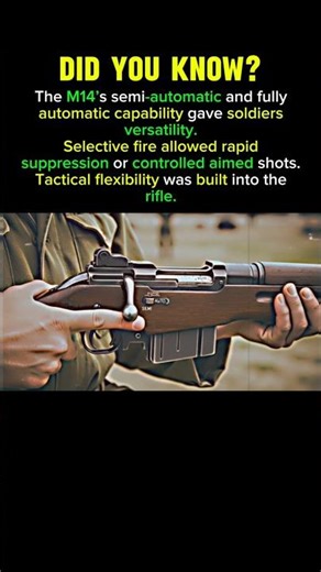 The M14 Rifle’s Selective Fire Gave Soldiers Tactical Versatility