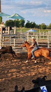 Everybody that rode this class had to "cowboy up!" It was very impressive to watch numerous teams sort 10 head without a saddle! 💪 #Cimarronarena #ranchsorting #teampenning #bareback #cowboyup #cowgirlup #chrisledoux #horses #cattle | Cimarron Arena