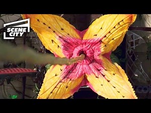 Jumanji: Der Angriff der Pflanzen (Robin Williams 4K HD AUSSCHNITT)