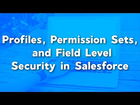Profiles, Permission Sets, and Field Level Security in Salesforce | Object Level vs Record Level