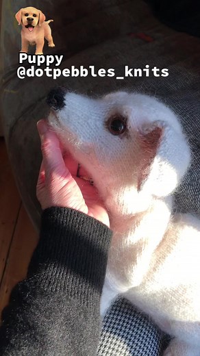 The beginnings of how I design a puppy …