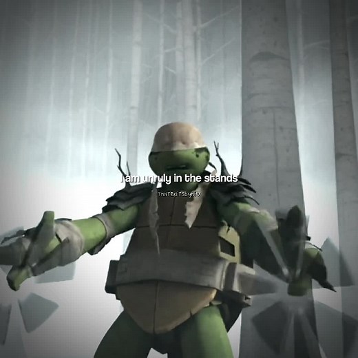 Transforming into Heroes in a Half Shell - TMNT 2012 Edits