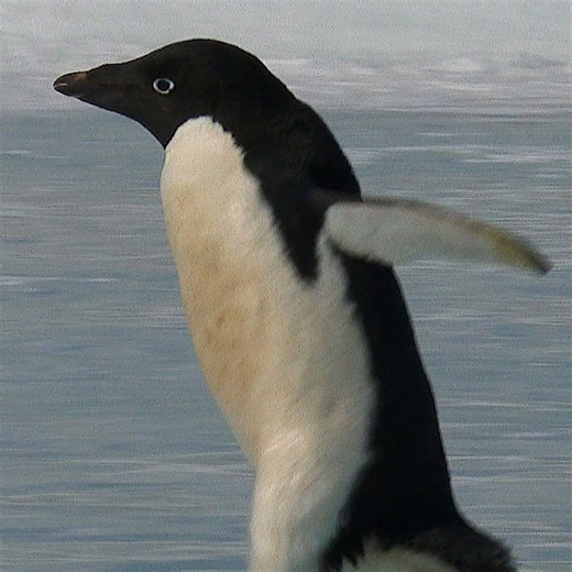 Craft a better credit score with free monitoring from Associated Bank. We've got you. http://spr.ly/6185qBTzv | Associated Bank