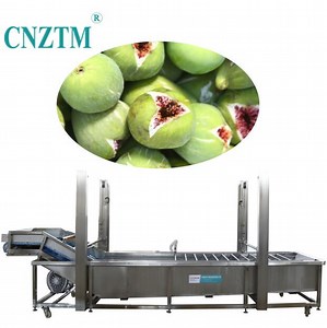 [Hot Item] Fruit Fig Processing and Production Line Fig Soaking Washing Machine