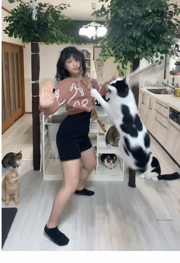 猫じゃらし歴31年目の進化とは？