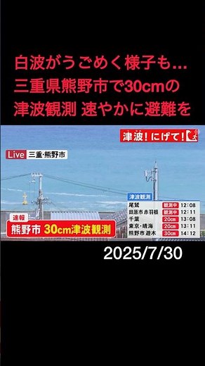 【津波情報】午後2時12分に三重県熊野市で30cmの津波を観測 尾鷲市の上空からも最新情報 △海岸から離れて高い場所へ避難を△【愛知県外海・三重県南部に津波警報】#shorts