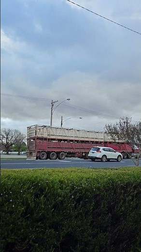 Aussie Outback Truck Spotting: Cattle truck - Stawell, Victoria