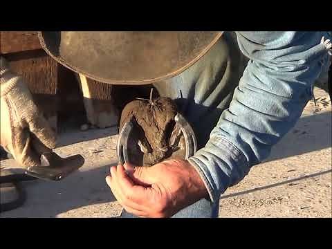 How to Shoe a Ranch Horse