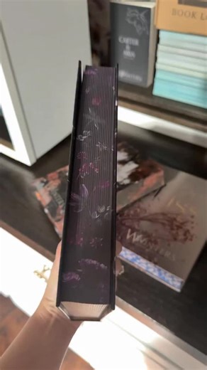 Only available until the end of the month! Comment SE2026 to shop Limited Time Special Editions ♥️ | Willow Winters