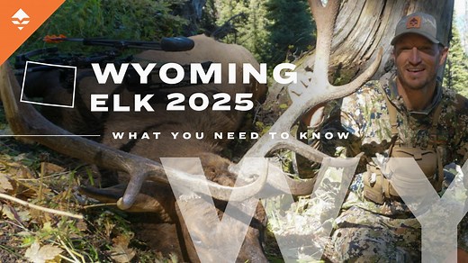 Wyoming elk hunting application tips that will change your season: A complete guide for nonresidents // GOHUNT. The Hunting Company