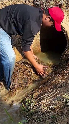 Massive Unclogging Big Culvert At Farm