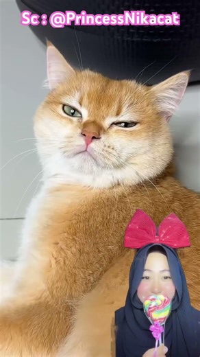 Kitty balas dendam dengan sihir ke penjaga squid game ⁉️😱 @PrincessNikacat