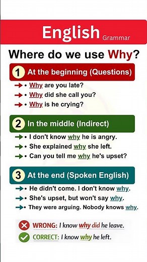 Where Do We Use “Why” in a Sentence? | Why Placement Rules in English Grammar (With Examples)