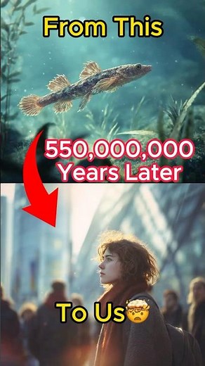 550 Million Years of Human Evolution in 60 Seconds 🤯 #ai #evolution #humanity