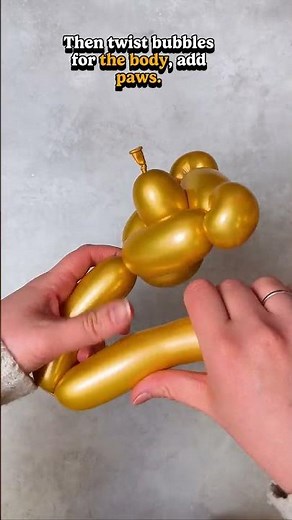 Balloon Art Tutorial: Making a Teddy Bear with a 260 Balloon!