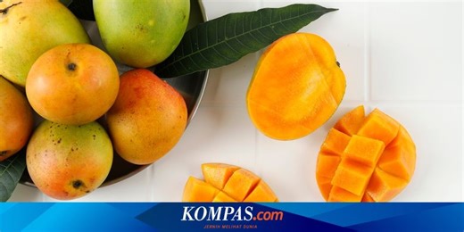 Manfaat Makan Mangga di Malam Hari dan Risikonya jika Dikonsumsi Berlebihan