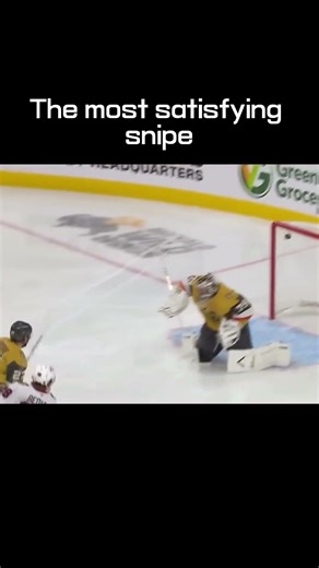 The Most SATISFYING Snipe!