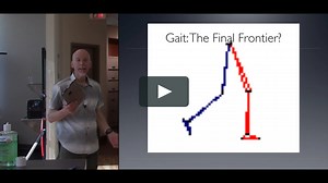 Dry Needling and Gait Related Disorders
