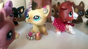 Lps - Fancy