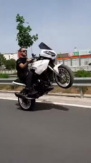 Triumph Tiger 1050 Mivv Wheelie