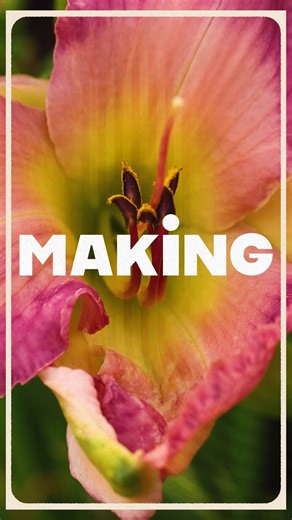 WSKG's new series, MAKING debuts 11/11 on YouTube and at wskg.org! | WSKG Public Media