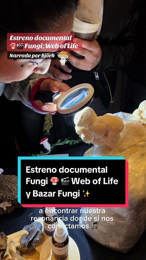 Estreno documental Fungi 🍄 🎬 Web of Life y Bazar Fungi ✨