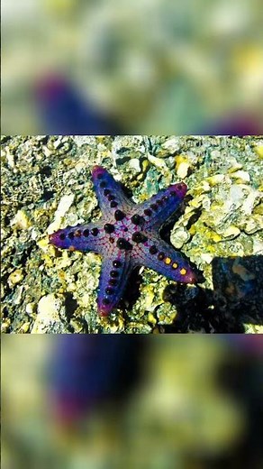 Marinduque : My favorite Island #travel #letsmakememories #islandvibe #vacation #beach