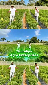 Thuruliya Agro Farming on Reels