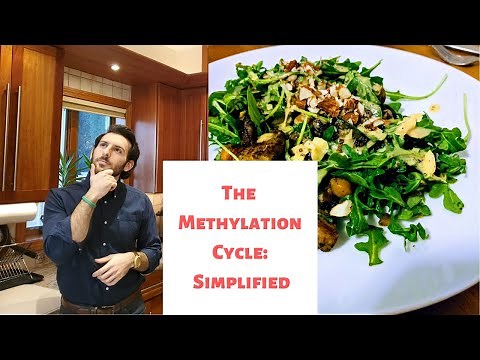 The Methylation Cycle Simplified | MTHFR | Methyl Groups