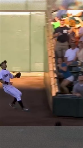 Most Heartwarming MLB Fan Moments