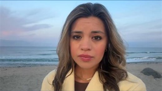 Shark advisory in effect after shark spotted near whale carcass at Cardiff State Beach Monday