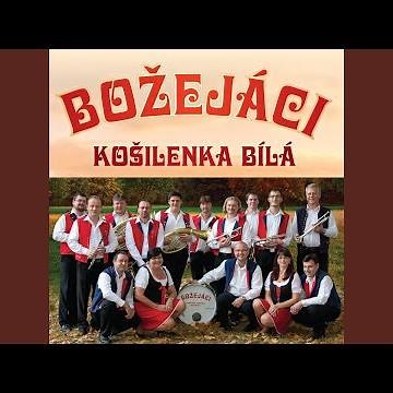 Cestář