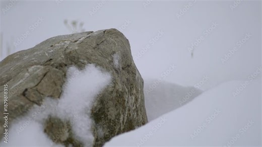 Snow layers accumulating on rugged rock during severe winter storm in frozen mountain landscape. Icy formations shaped by blizzard winds reveal harsh cold season textures across alpine nature.