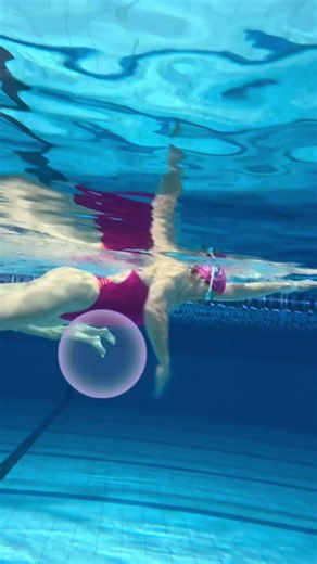 Freestyle catch #swimming #swim #swimcoach #freestylestroke