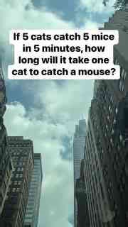 The Ultimate Brain Teaser: How to Solve This Riddle