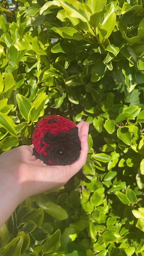 love this little ladybug! #crochet #livsplushies #crochettiktok #fyp #crochettutorial #ladybug