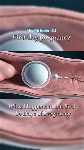 Healthy girls Ovulation & Pregnancy Timing | Science Behind Conception#positivebirth #babyplanning