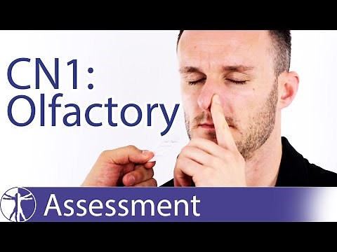 Cranial Nerve 1 | Olfactory Nerve Assessment for Physiotherapists