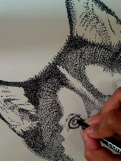 ​Watch These Husky Eyes Come To Life Using Only Dots! 👁️ The Secret To Stippling Realism! ✨