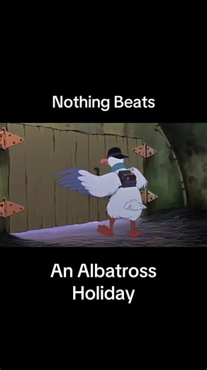 Nothing Beats an Albatross Holiday Happy 35th Anniversary to Rescuers Down Under and John Candy’s Performance as Wilbur was Underrated, flawed but still hilarious #jet2holidays✈️🏖 #jet2holidaymemes #rescuersdownunder #therescuersdownunder35thanniversary #ringorivers101