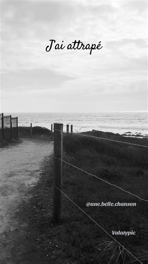 La coup de soleil : Une belle chanson d'amour