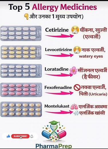 Top 5 Allergy Medicines Every Student & Family Should Know 💊🤧| PharmaPrep