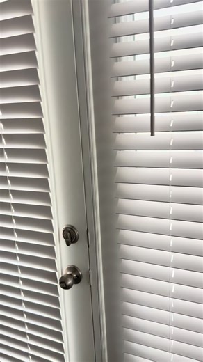 Snowmageddon 2026: A New Yorker's Take on Texas Winter